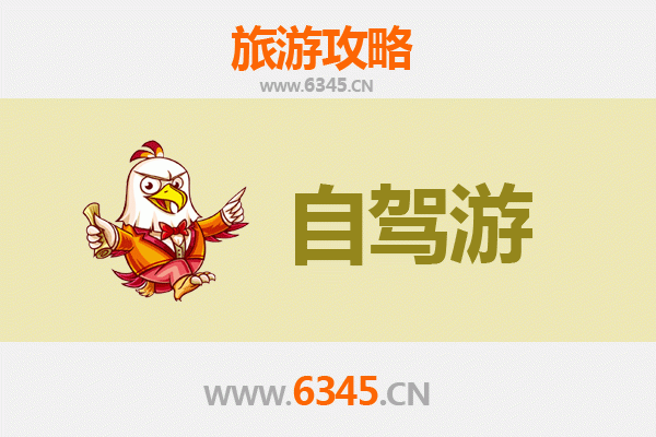 万宁六连林场自驾游全攻略：探秘热带雨林与国营林场风情
