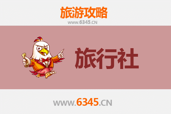 万宁六连林场深度游：本地旅行社精选与生态旅行全攻略