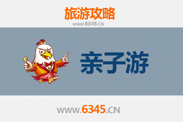 万宁六连林场亲子游攻略：探秘热带雨林，共享自然野趣
