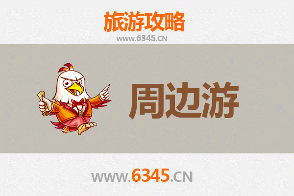 万宁六连林场周边深度游攻略：探秘热带雨林与黎苗文化