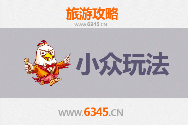 万宁六连林场小众玩法攻略：探秘热带雨林与复古农场时光
