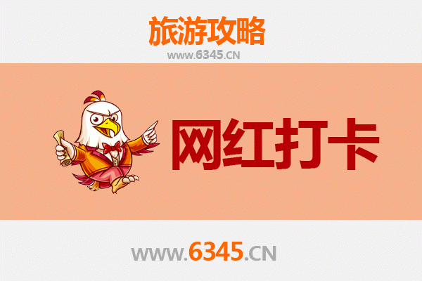 万宁六连林场：热带雨林中的隐秘网红打卡地